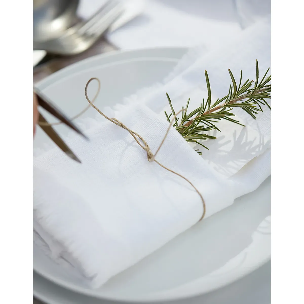 Camber Soft Wash Napkins Set of 4 - White, Cotton alternate view