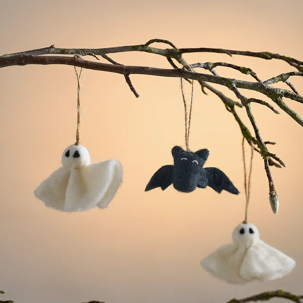 Felt Ghost and Bat Decorations Set of 6 - Multi product