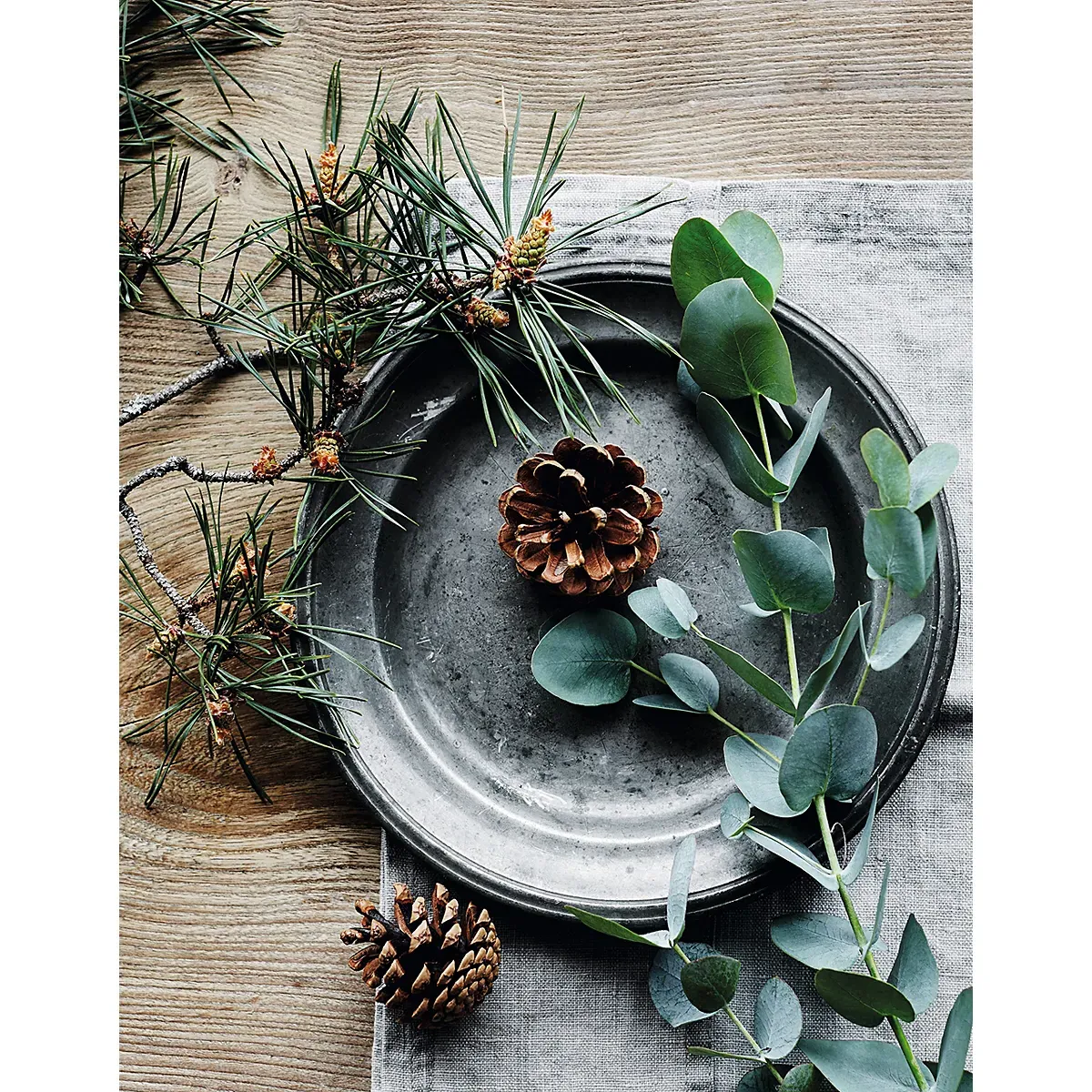 Fir Tree Fragrance Oil alternate view