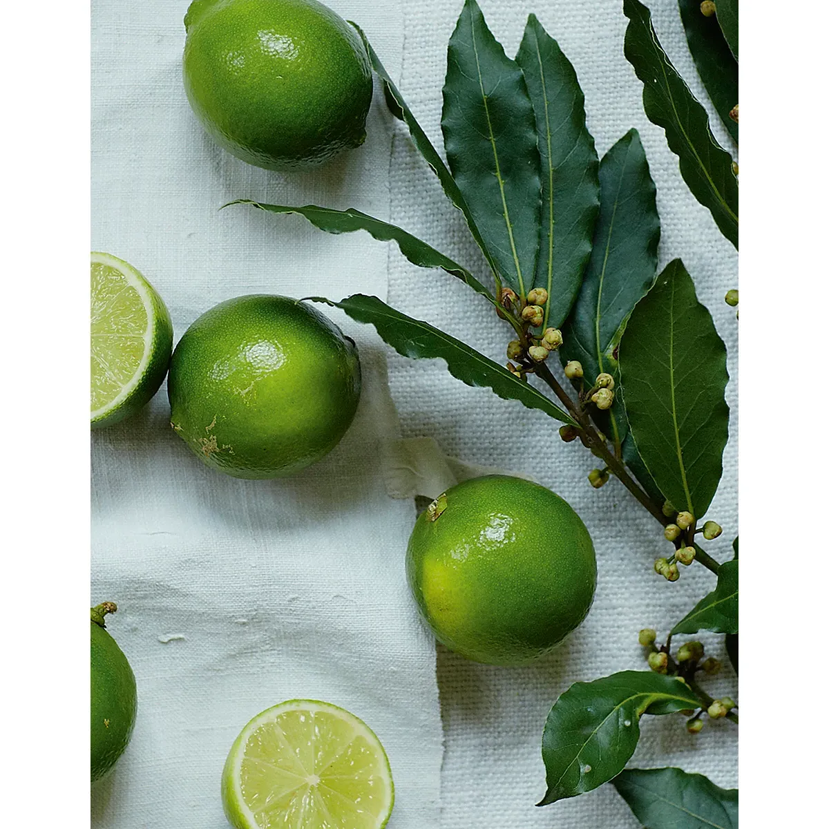Lime & Bay Fragrance Oil alternate view