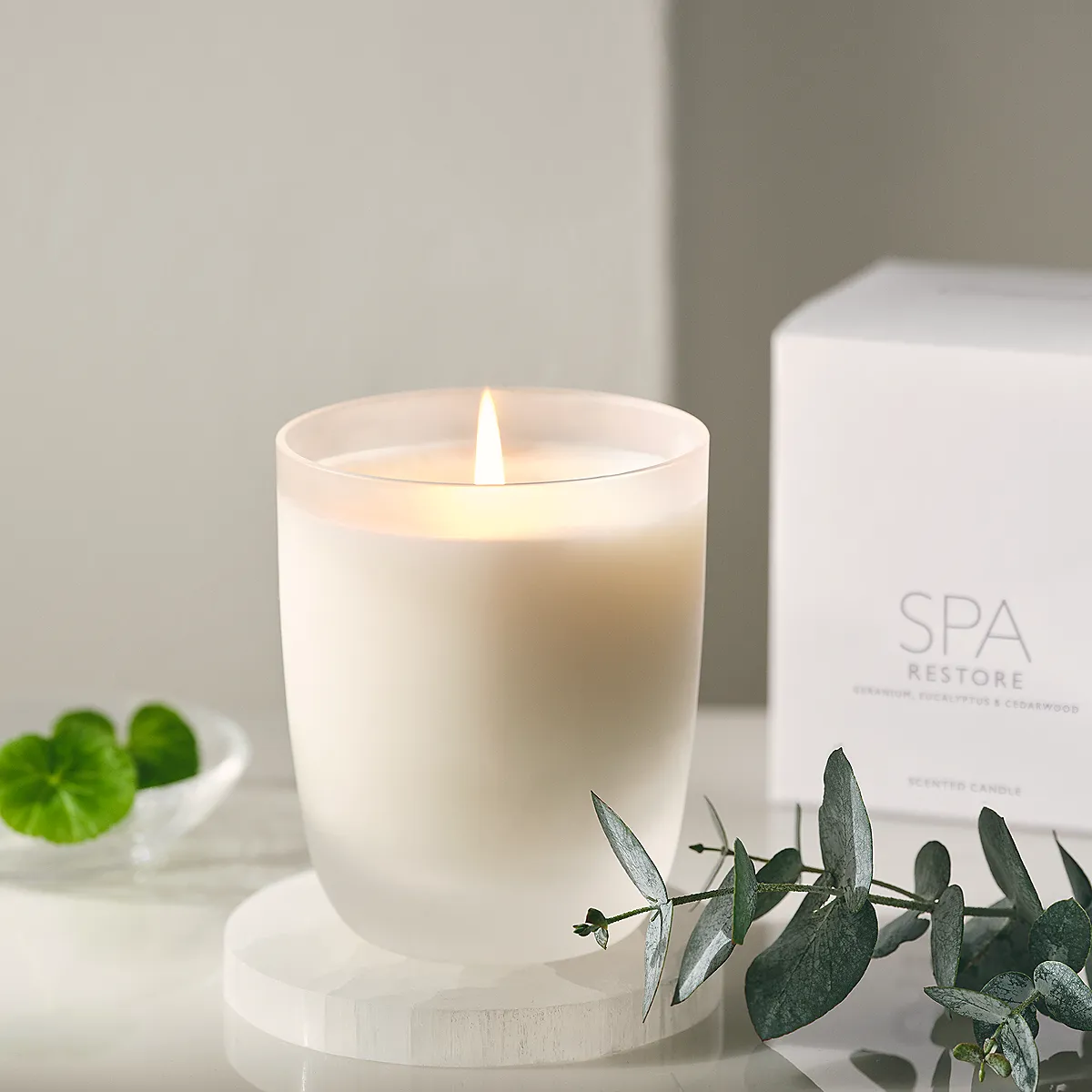 Spa Restore One-Wick Candle - Frosted Glass product