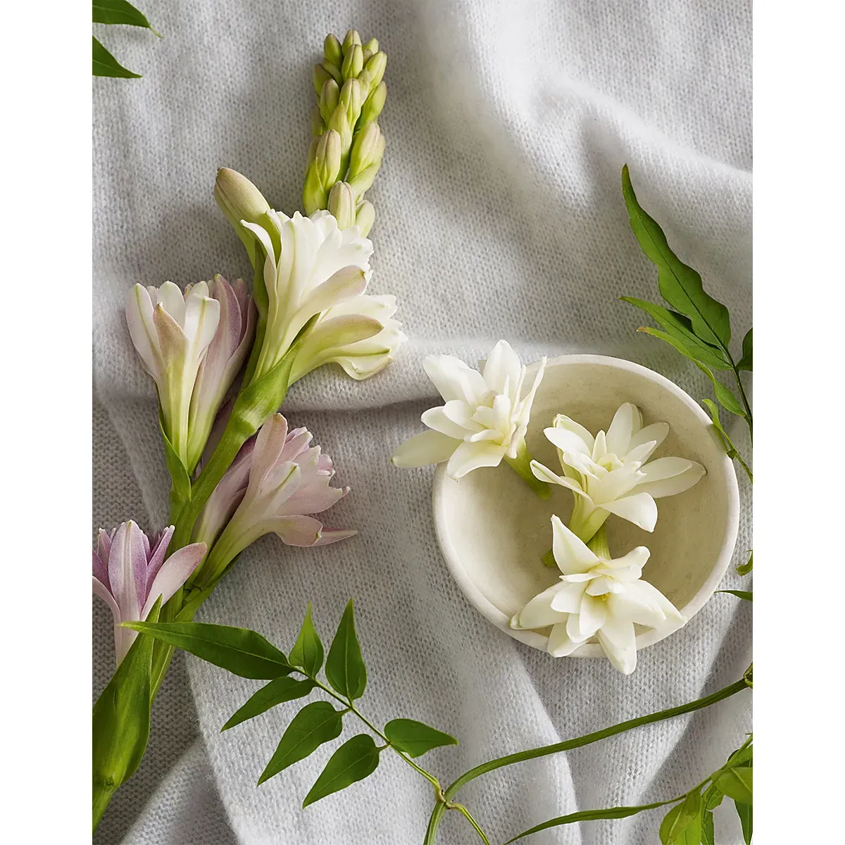 Tuberose & Cashmere Fragrance Oil alternate view