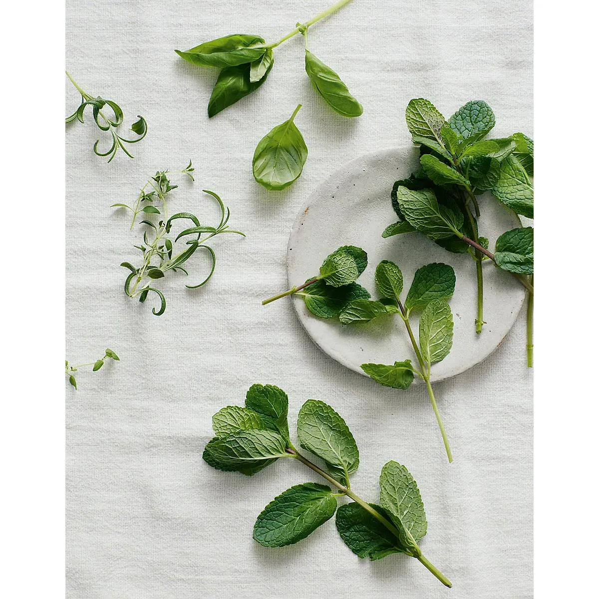 Wild Mint Home Spray - Glass Vessel alternate view