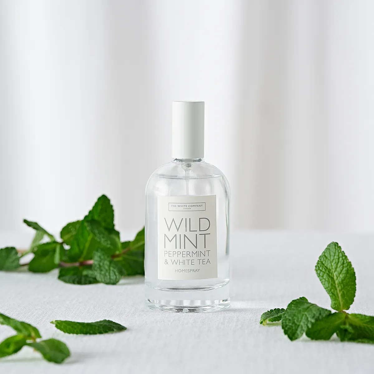Wild Mint Home Spray - Glass Vessel product