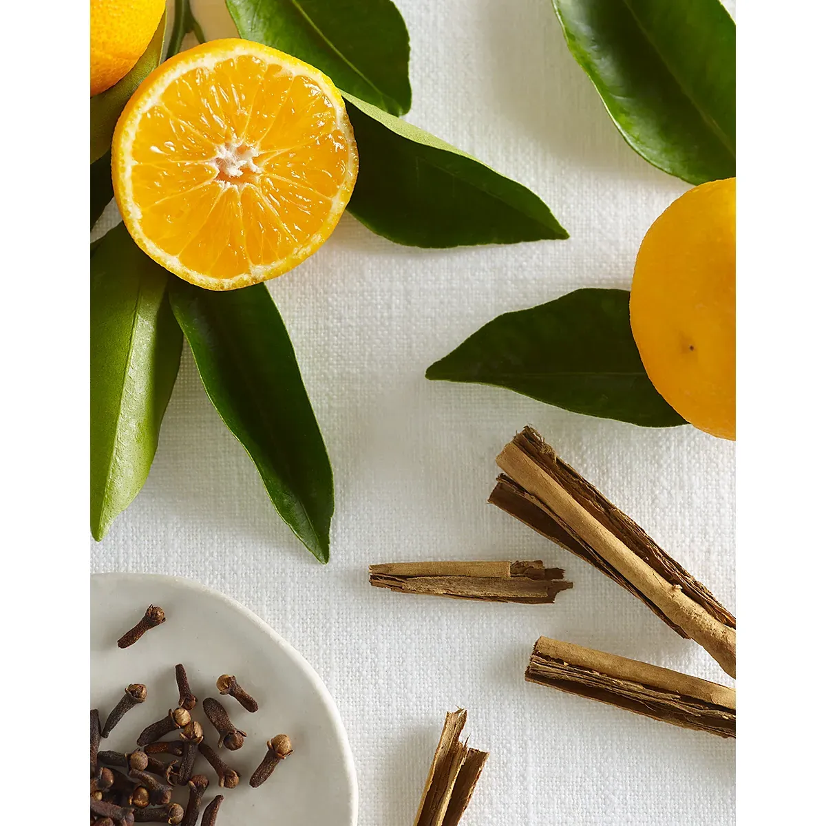 Winter Indulgence 6-Wick Botanical Candle - Cinnamon, Clove & Orange alternate view