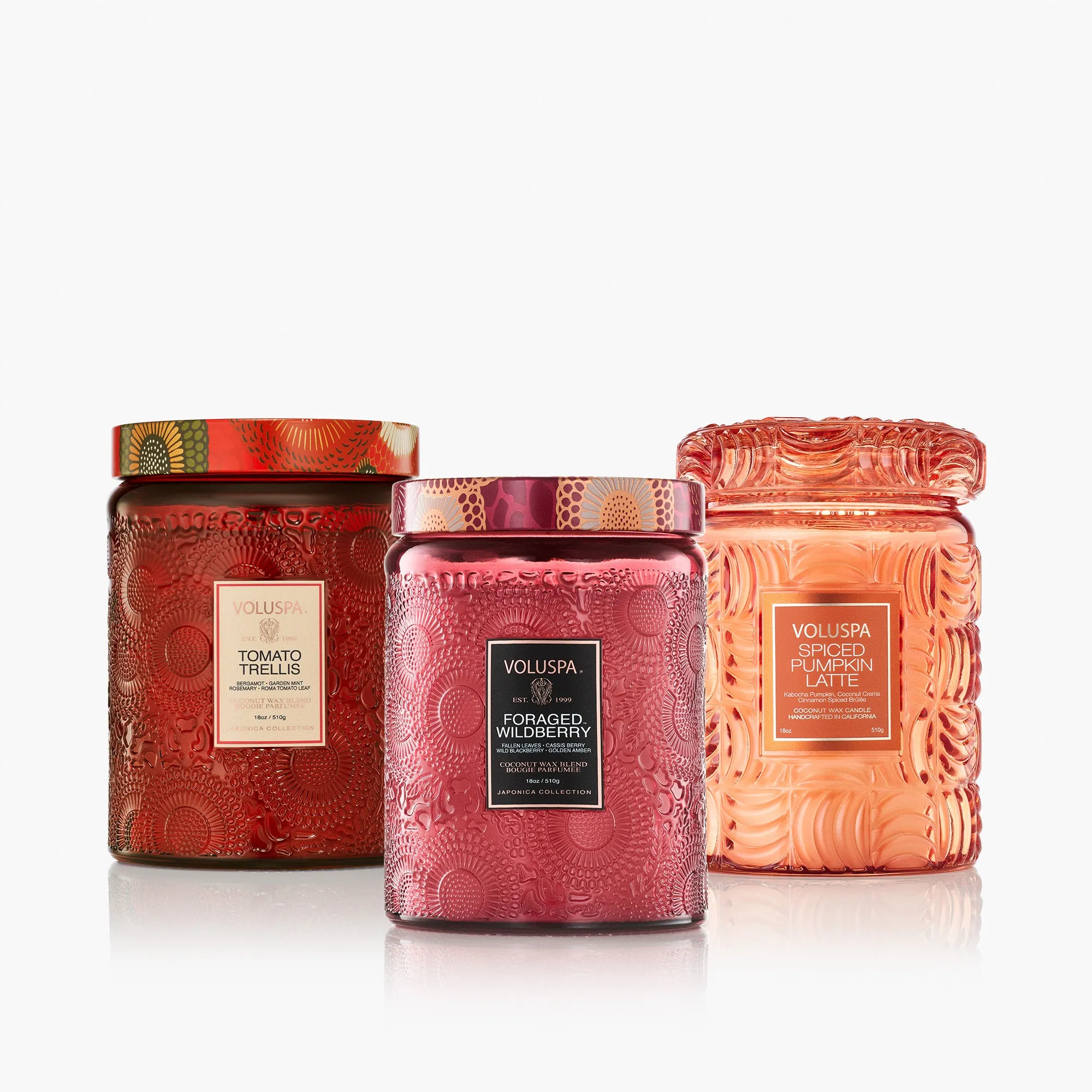 Fall Harvest Large Jar Candle Bundle by Voluspa
