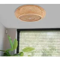 Flat Pendant Light with Dual Mount - Natural, Rattan