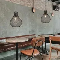 Wire Cage Pendant Light - Black, Iron