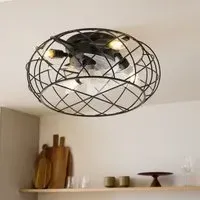 Cage Ceiling Fan Light - Black, Metal