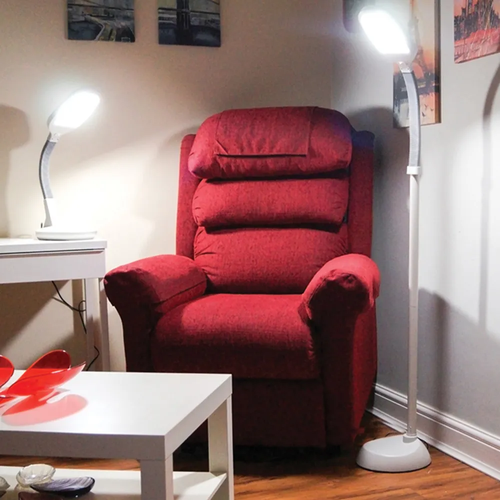 Desktop Reading Lamp with Flexible Gooseneck - White