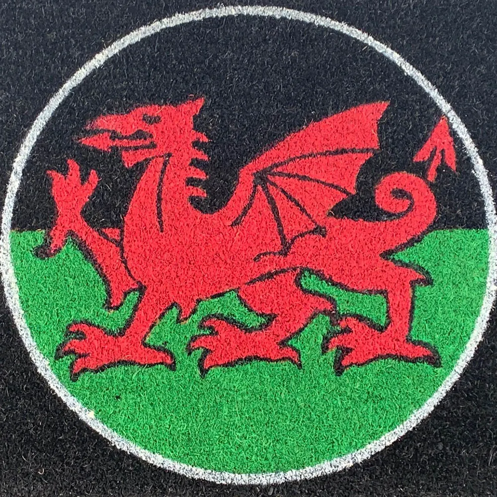 Garden Decor Dragon Coir Door Mat - Black