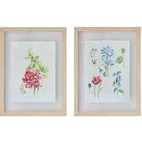 Fleur Studies Set of 2 Framed Prints - Multi