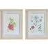 Fleur Studies Set of 2 Framed Prints - Multi