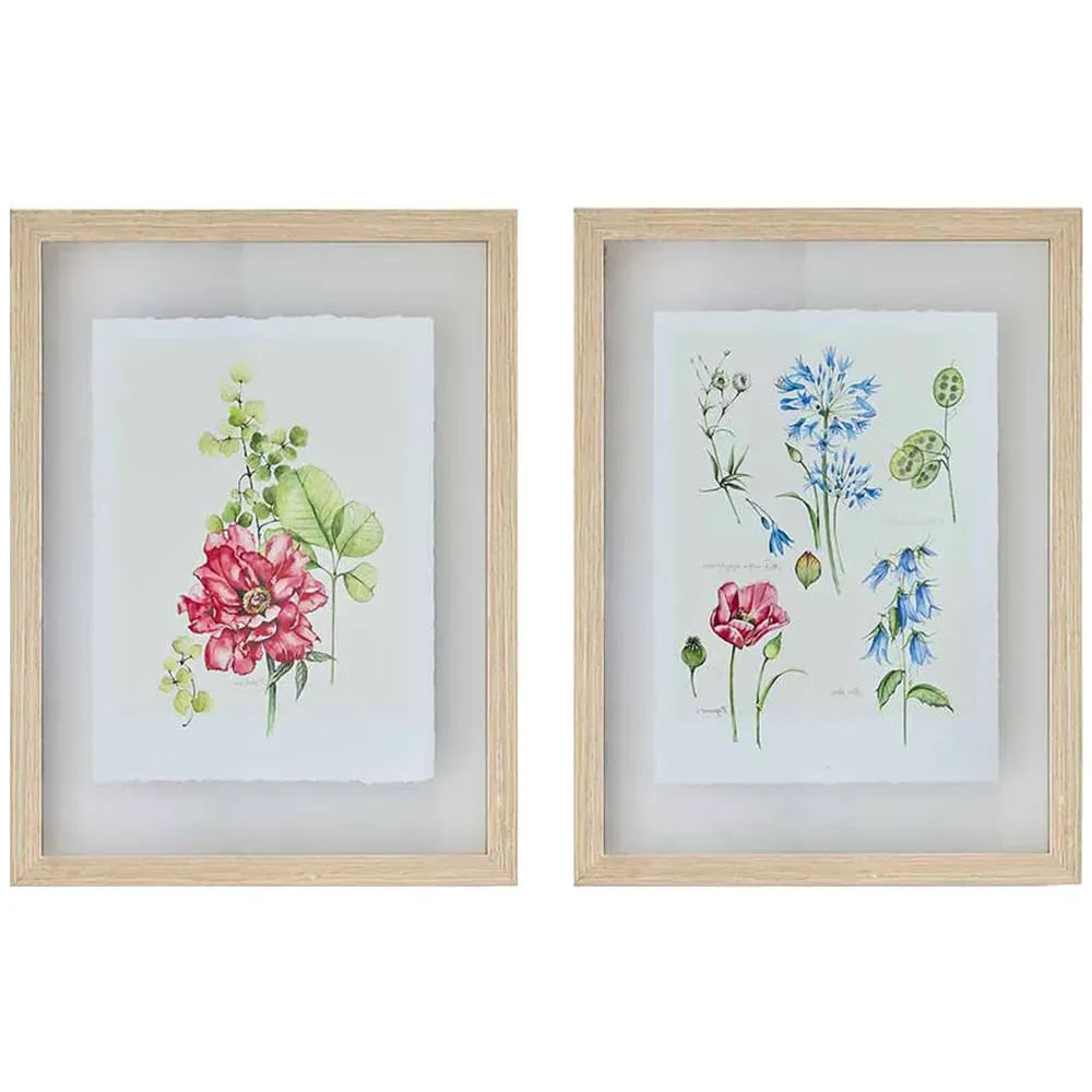Fleur Studies Set of 2 Framed Prints - Multi image