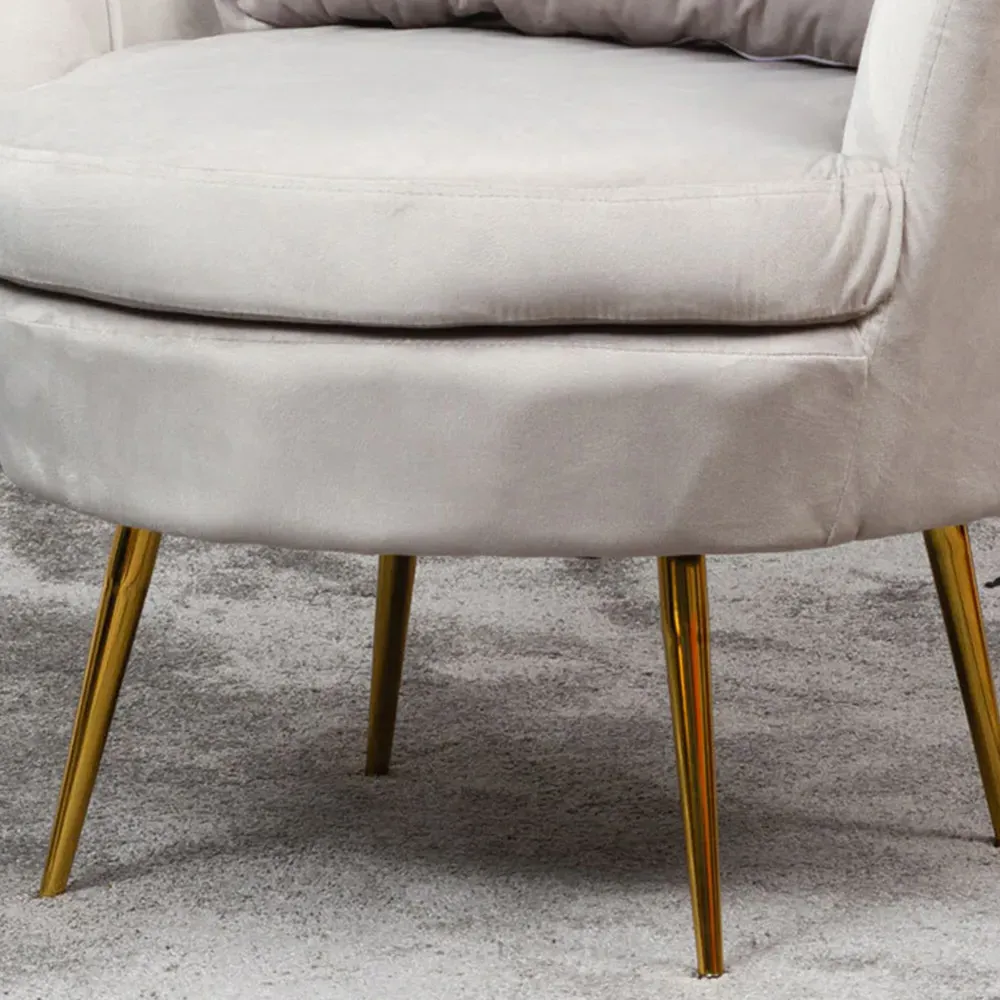 Benicia Petal Accent Chair - Silver, Velvet