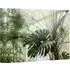 Andrew Lee Green Plants Botanical Garden Canvas - Green