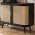 Noah 2 Door Rattan Sideboard - Black