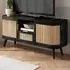 Noah 2 Door TV Unit with Drawer - Black