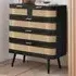 Noah 5 Drawer Storage Chest - Black, Rattan