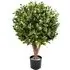 Artificial Gloxinia Ball Topiary 50cm - Green