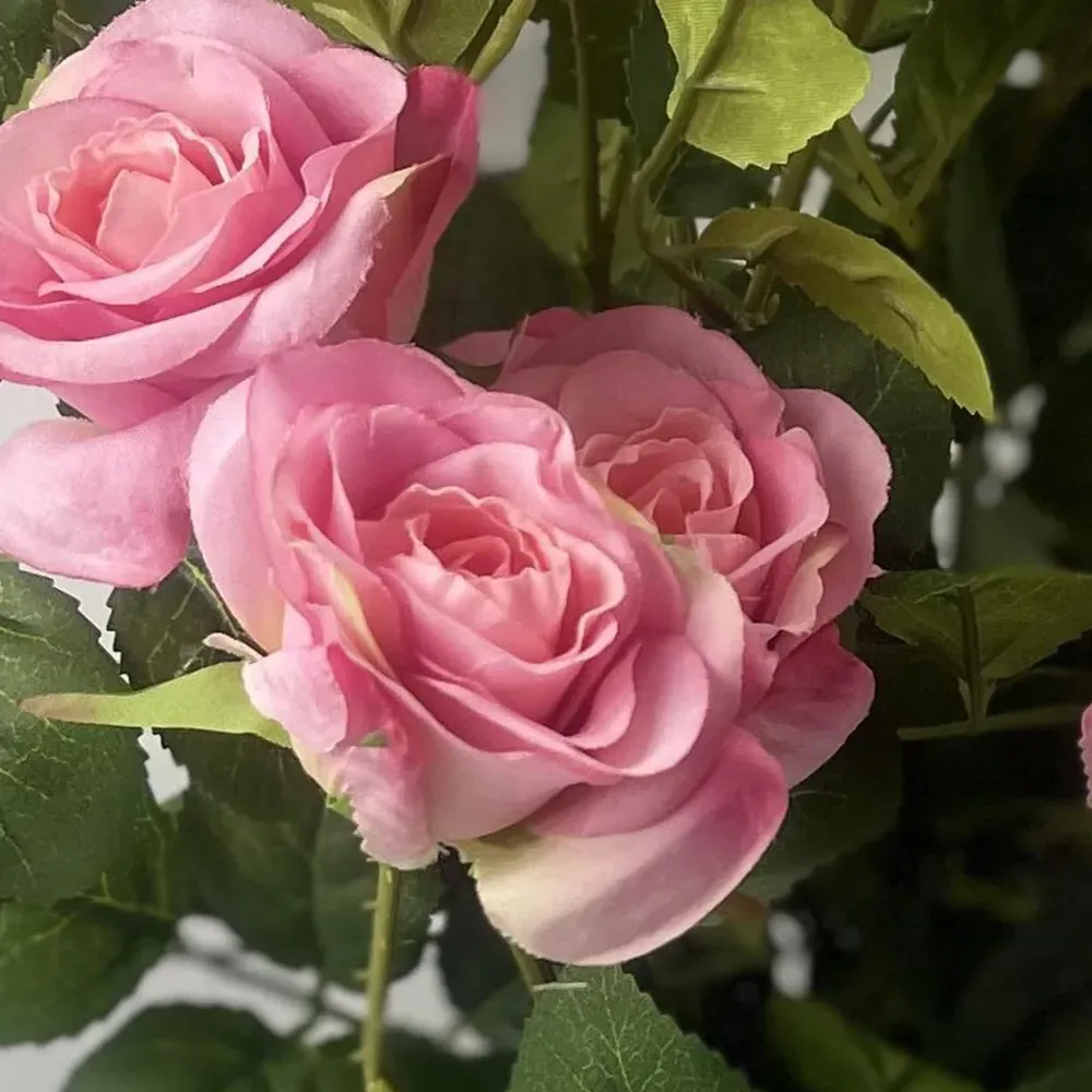 Artificial Rose Plant in Pot - Pink