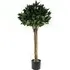 Bay Topiary Tree 120cm - Green