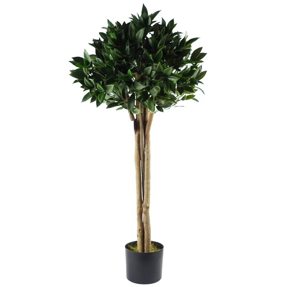 Bay Topiary Tree 120cm - Green image