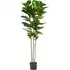 Large Fig Artificial Plant in Pot - Green