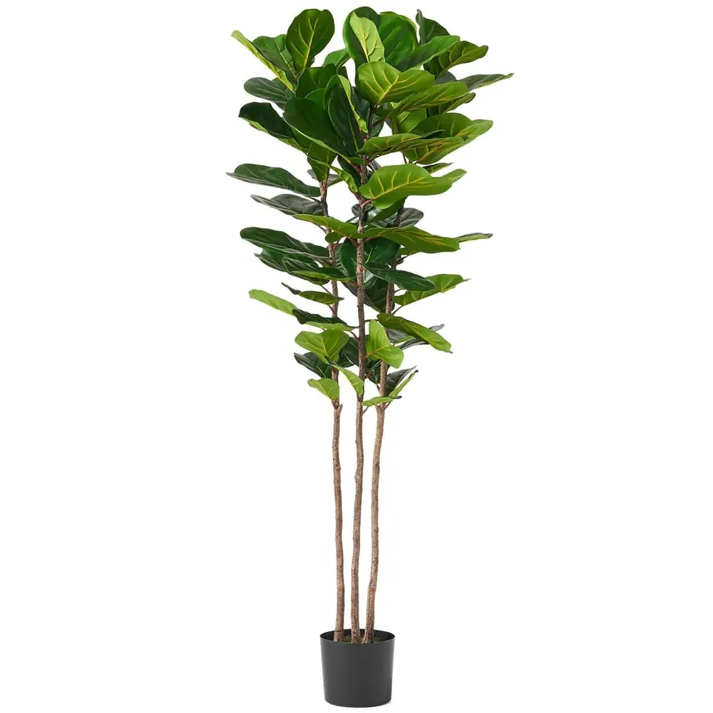 Large Fig Artificial Plant in Pot - Green