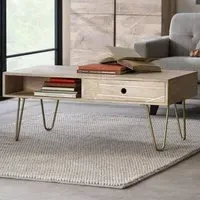 Huyen Single Drawer Coffee Table - Brown, Light Gold