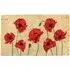 Eternal Poppy Coir Door Mat 40x60cm - Natural
