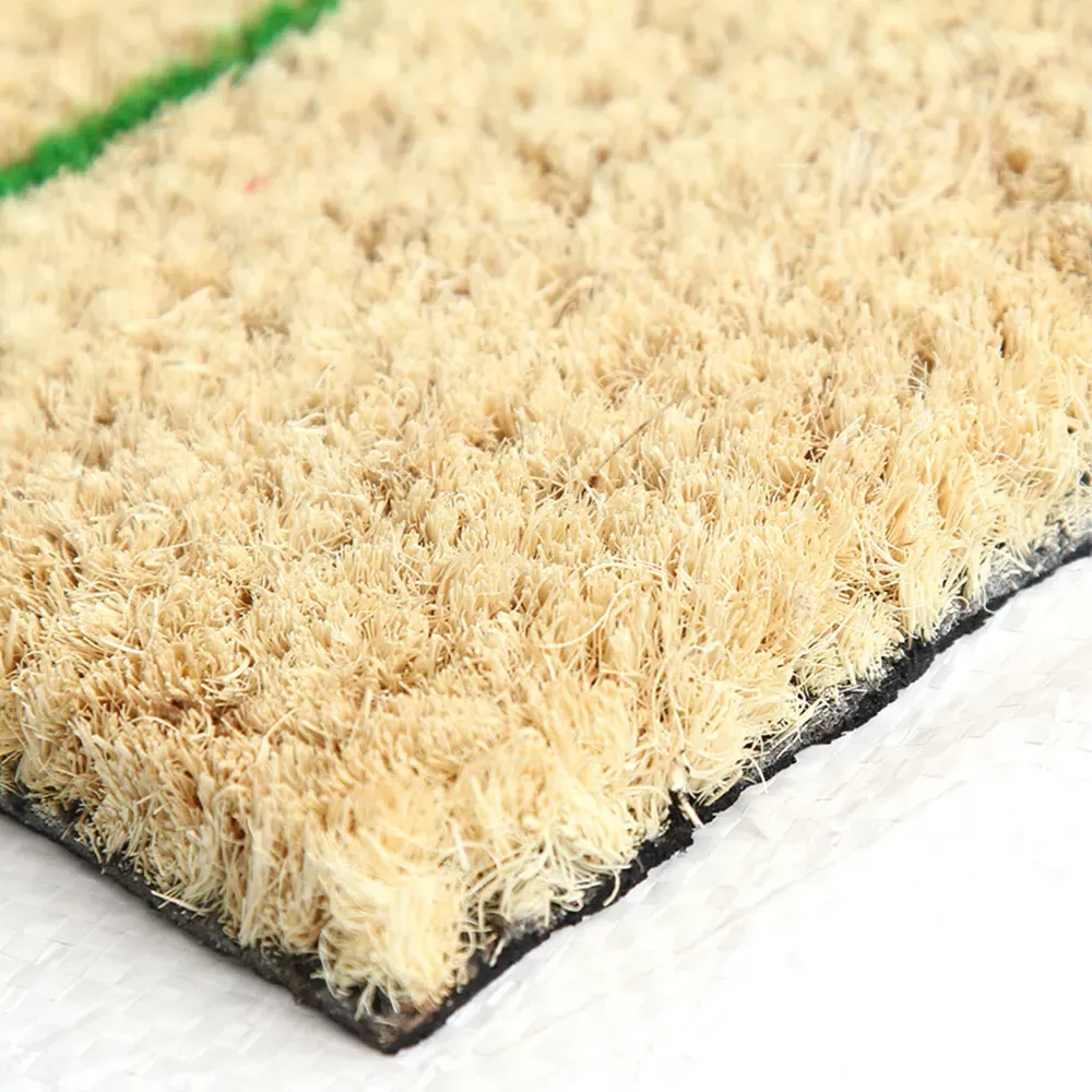 Eternal Poppy Coir Door Mat 45x75cm - Natural