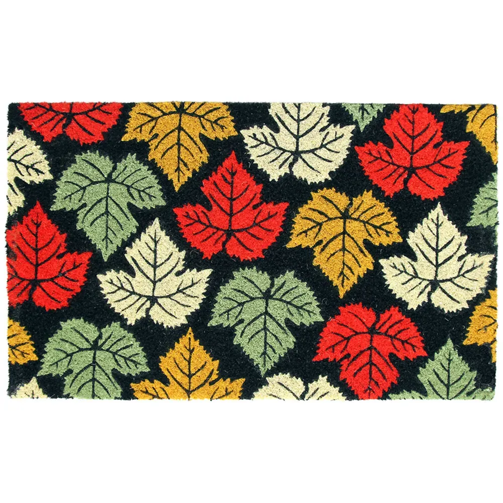 Maple Rain Coir Door Mat 40 x 60cm - Multicolor image