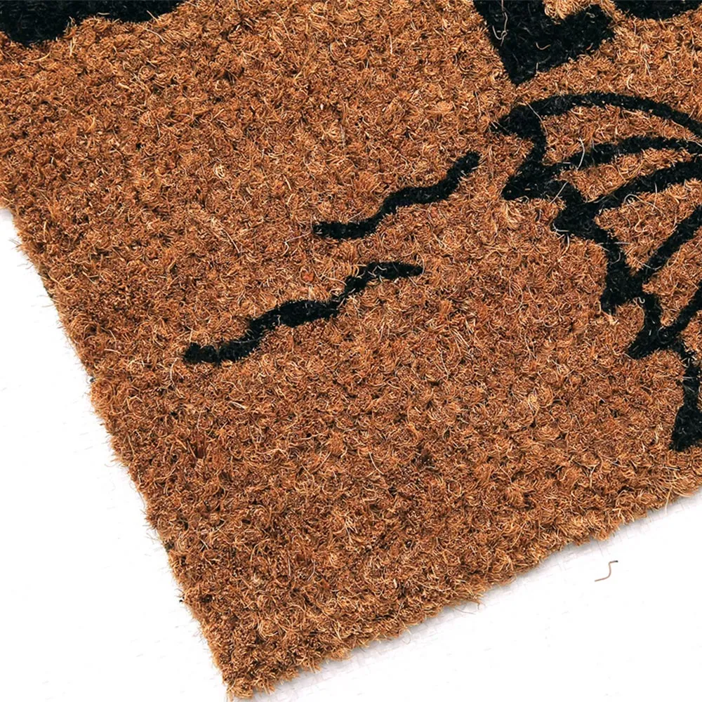 Rain or Shine Coir Door Mat 45 x 75cm