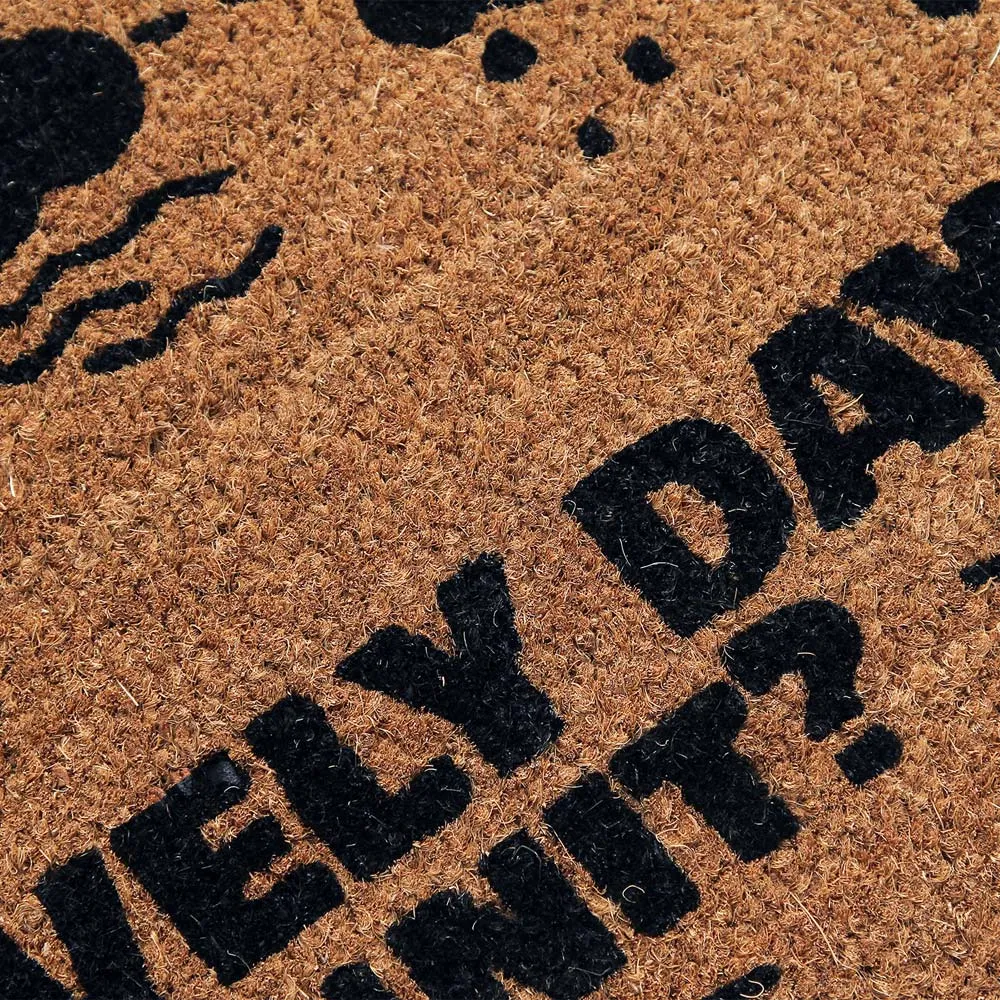 Rain or Shine Coir Door Mat 45 x 75cm
