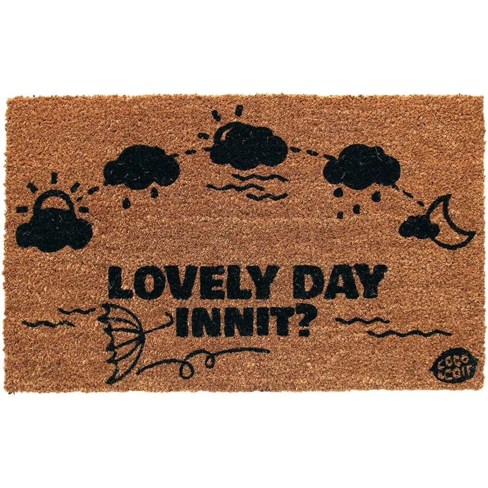Rain or Shine Coir Door Mat 45 x 75cm