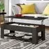 Single Shelf Lift Top Coffee Table with Storage - Black