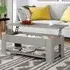 Single Shelf Lift Top Coffee Table with Storage - Grey