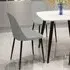 Aspen Duo Set of 2 Dining Chairs - Light Grey and Black
