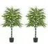 125cm Artificial Bamboo Tree 2 Pack - Green, Plastic