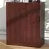 2 Door Storage Cabinet with 3 Shelves - Brown