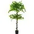 4.9ft Ficus Tree Artificial Plant in Pot - Green