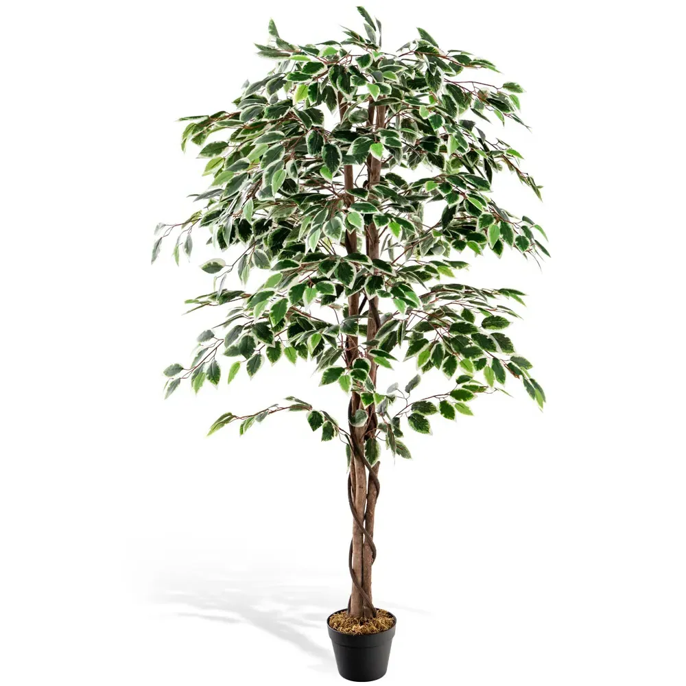 5.2ft Ficus Tree Artificial Plant in Pot - Green