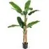 5.4ft Banana Tree Artificial Plant in Pot - Green