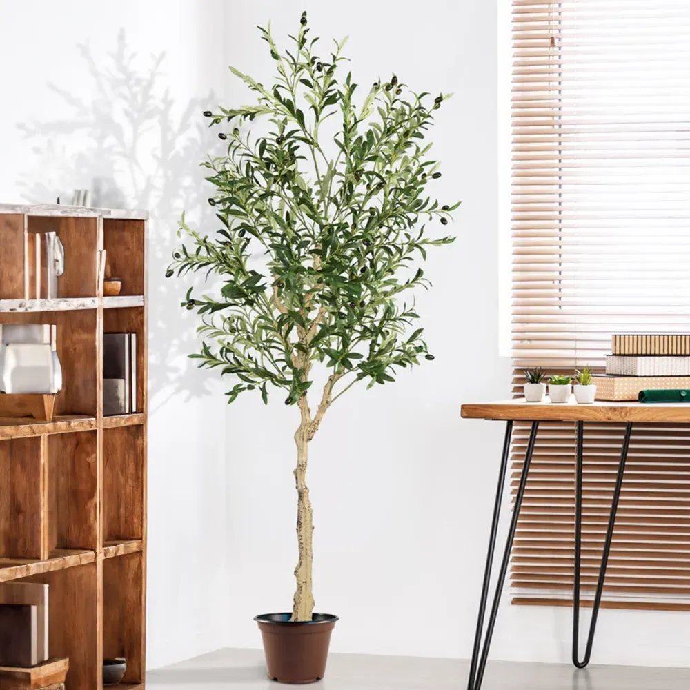 6ft Artificial Olive Tree with 72 Fruits - Multi