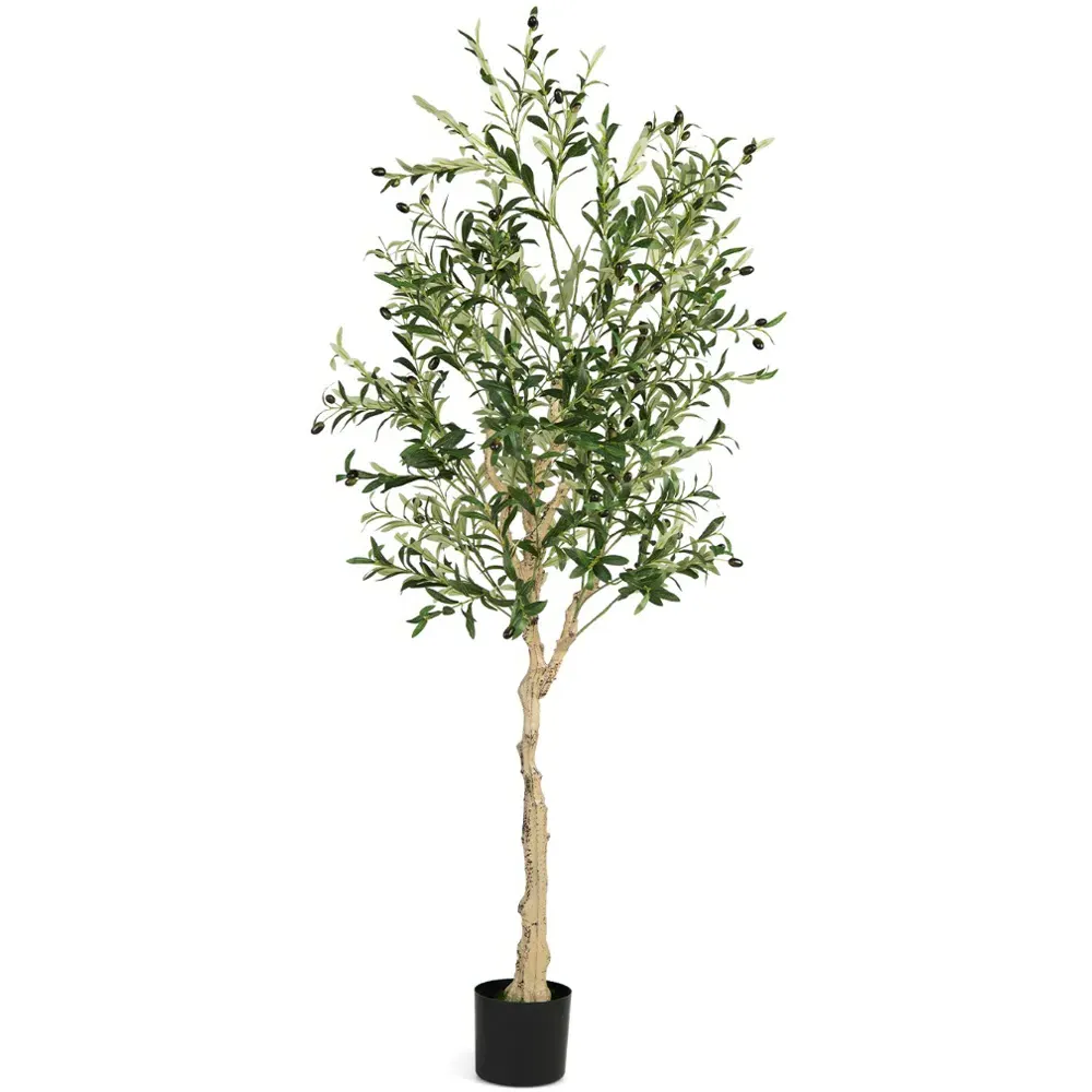6ft Artificial Olive Tree with 72 Fruits - Multi
