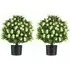 Artificial Boxwood Topiary Ball Tree 2 Pack - White