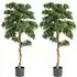 Artificial Boxwood Topiary Tree 2 Pack - Green