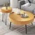 Boho Farmhouse Coffee Table Set of 2 - Cream