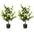 Camellia Tree Artificial Plant In Pot 3.1ft 2 Pack - Yellow